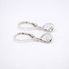 Clear Crystal Teardrop Leverback Earrings
