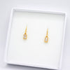 Gold Plated Clear Cubic Zirconia Rectangle Drop Earrings